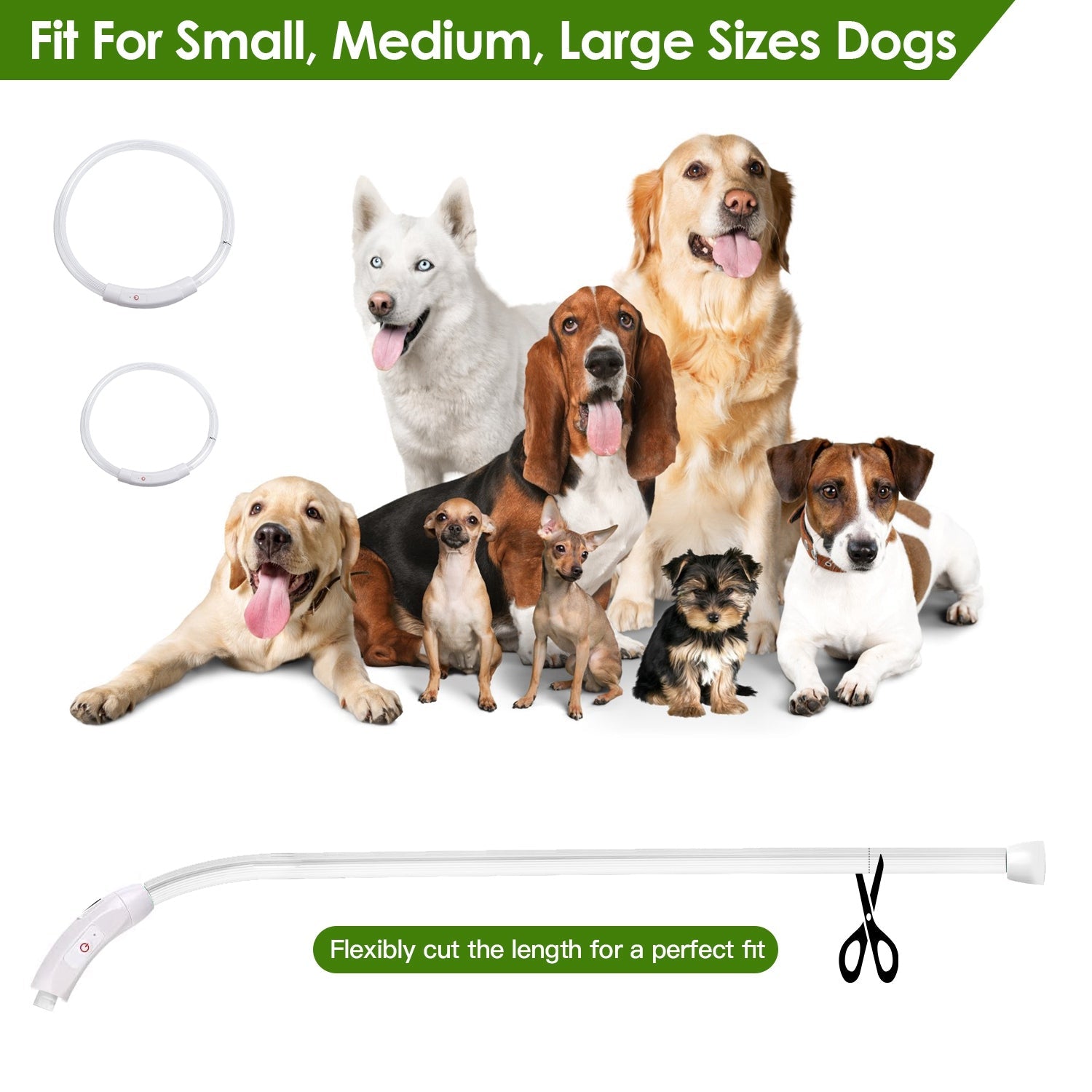 Dog accessories