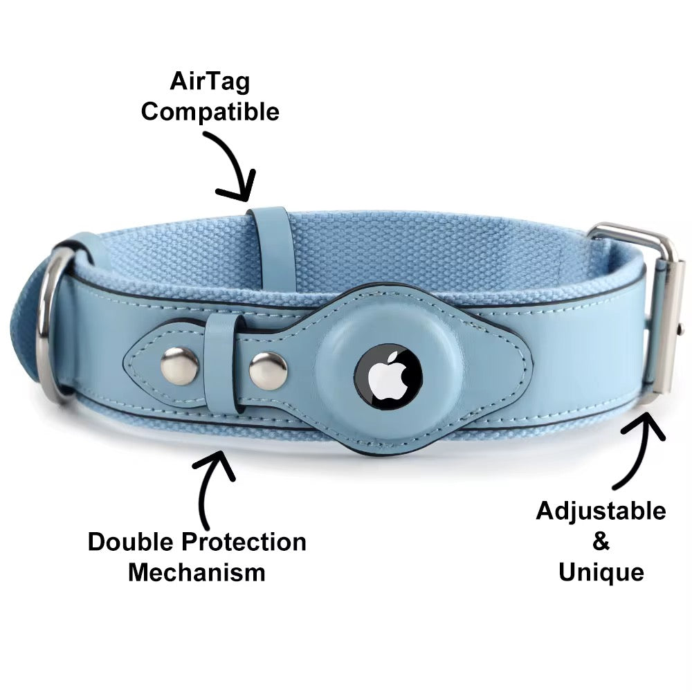 Harnesses, Collars & Leashes